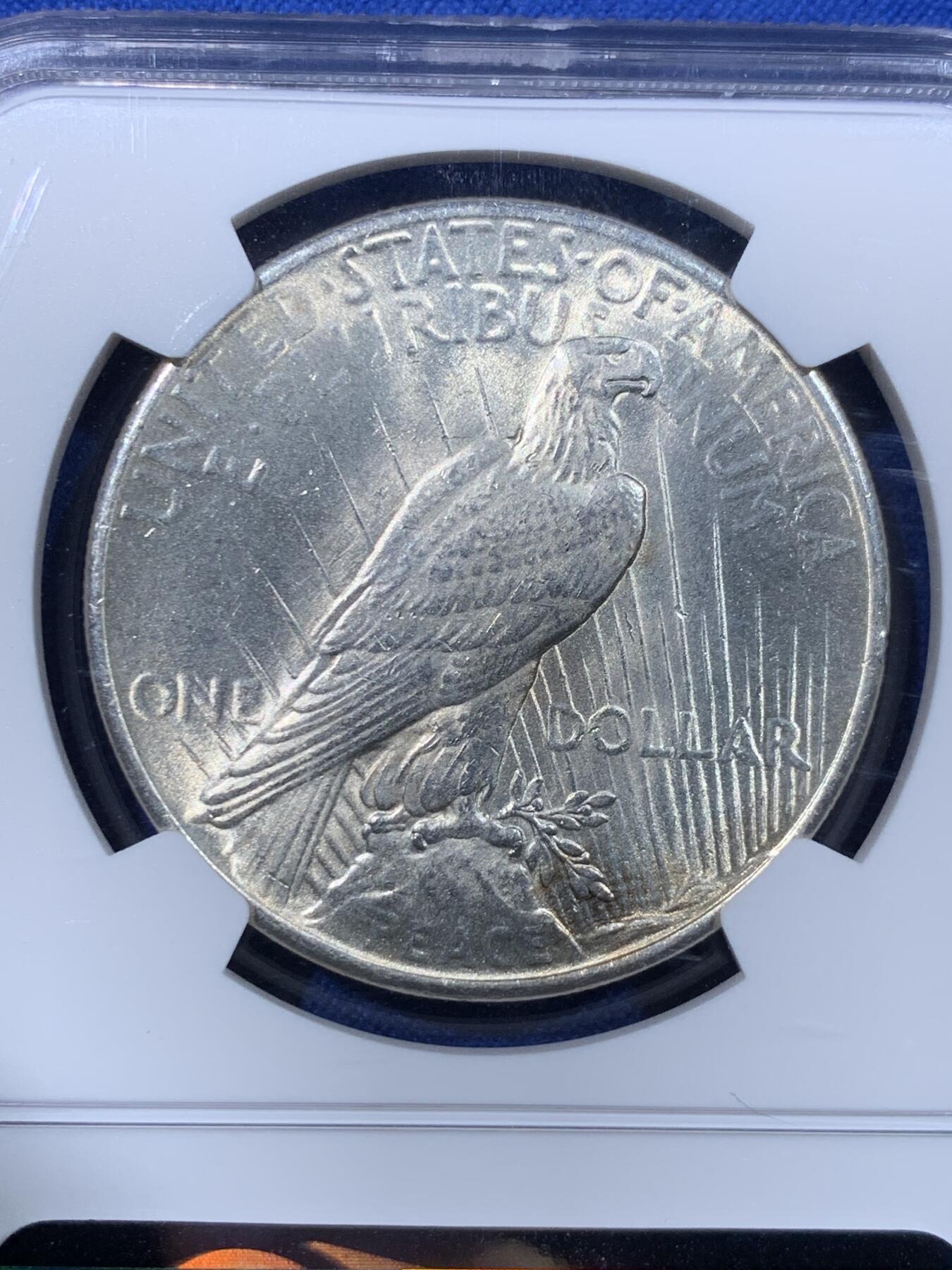 《竞宝斋》第443场 周日，周一，2场连拍 （全场包邮） NGC MS62 美国1925年和平女神大银币