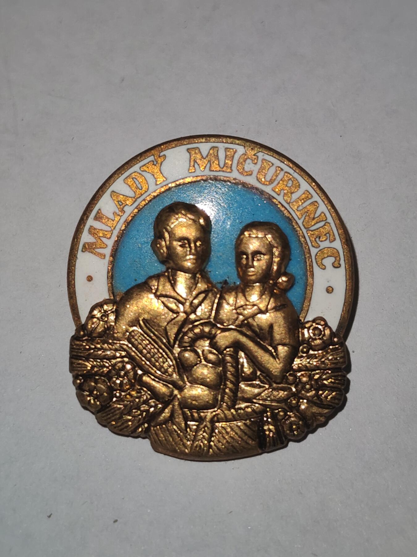 韵星假日拍卖第三十一期 -- Rimey Holidays Auction 31 捷克斯洛伐克共青团第一版青年生物学家荣誉证章 非常少见的版本铜镀金珐琅 库存品相