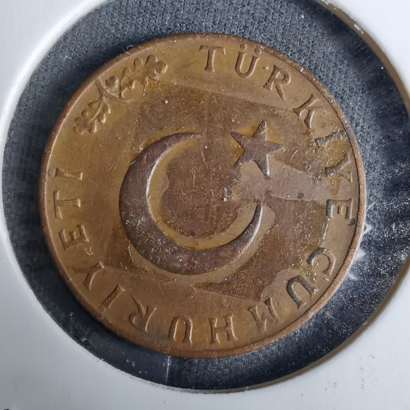 沼泽如烟--第918场