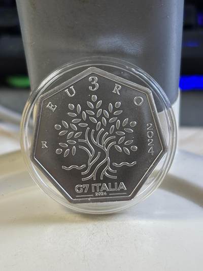 第183期拍卖 - 意大利2024年七国集团G7首脑峰会主宾国女神银币，925银，20.24克，发行4000枚，有手印