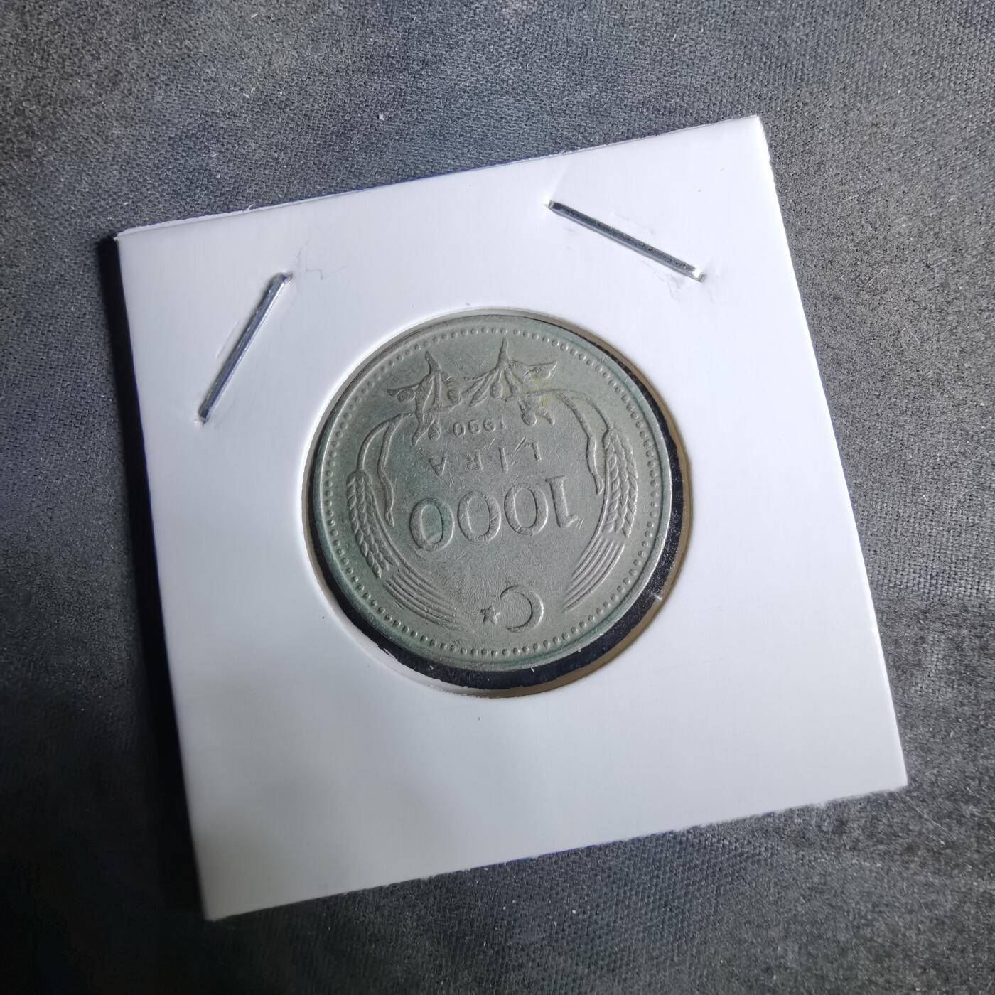 沼泽如烟--第918场