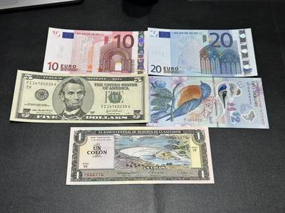 《外钞收藏家》第五百九十期（欧洲强钞、港币、硬通货及丰富裸币大拍场）（本平台长期征集拍品、欢迎藏友们联系合作） - 二签10和20欧全新（20一个角不绝）+大头5美元全新轻微荧光瑕疵+百慕大2元A/1冠、萨尔多瓦全新 五张一起