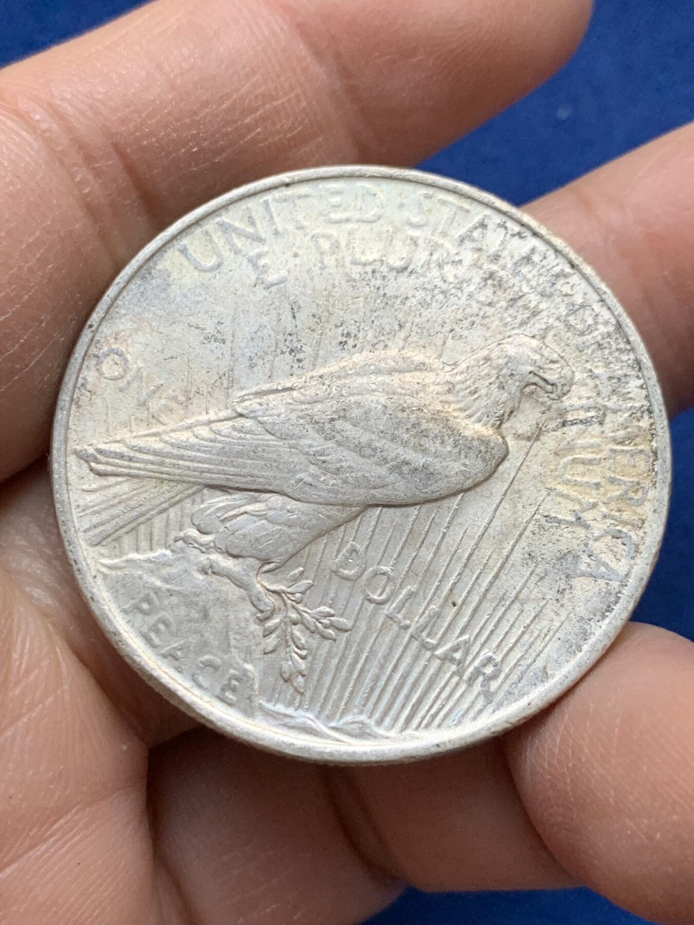 《竞宝斋》第443场 周日，周一，2场连拍 （全场包邮） 美国1922年和平银币，币面不平，微翘。