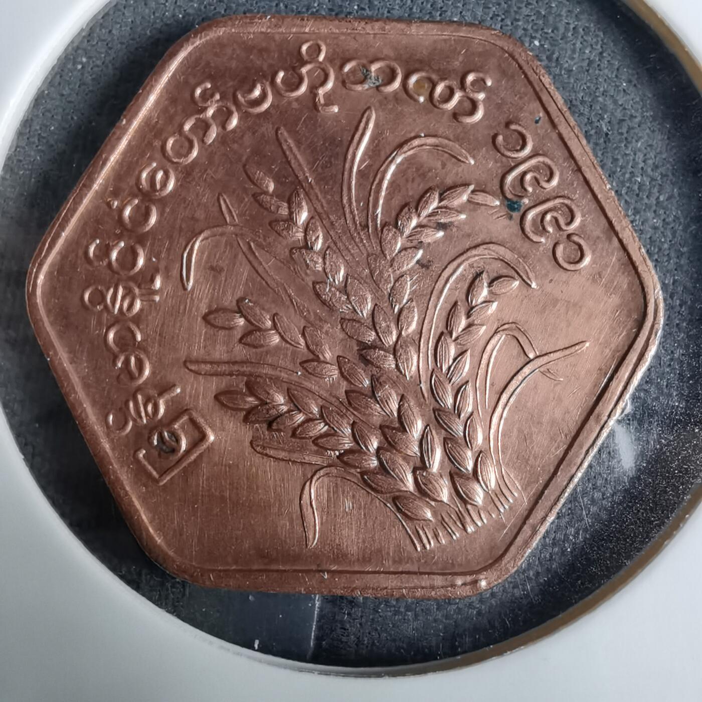 沼泽如烟--第918场