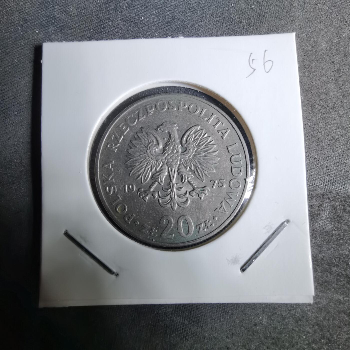 沼泽如烟--第918场