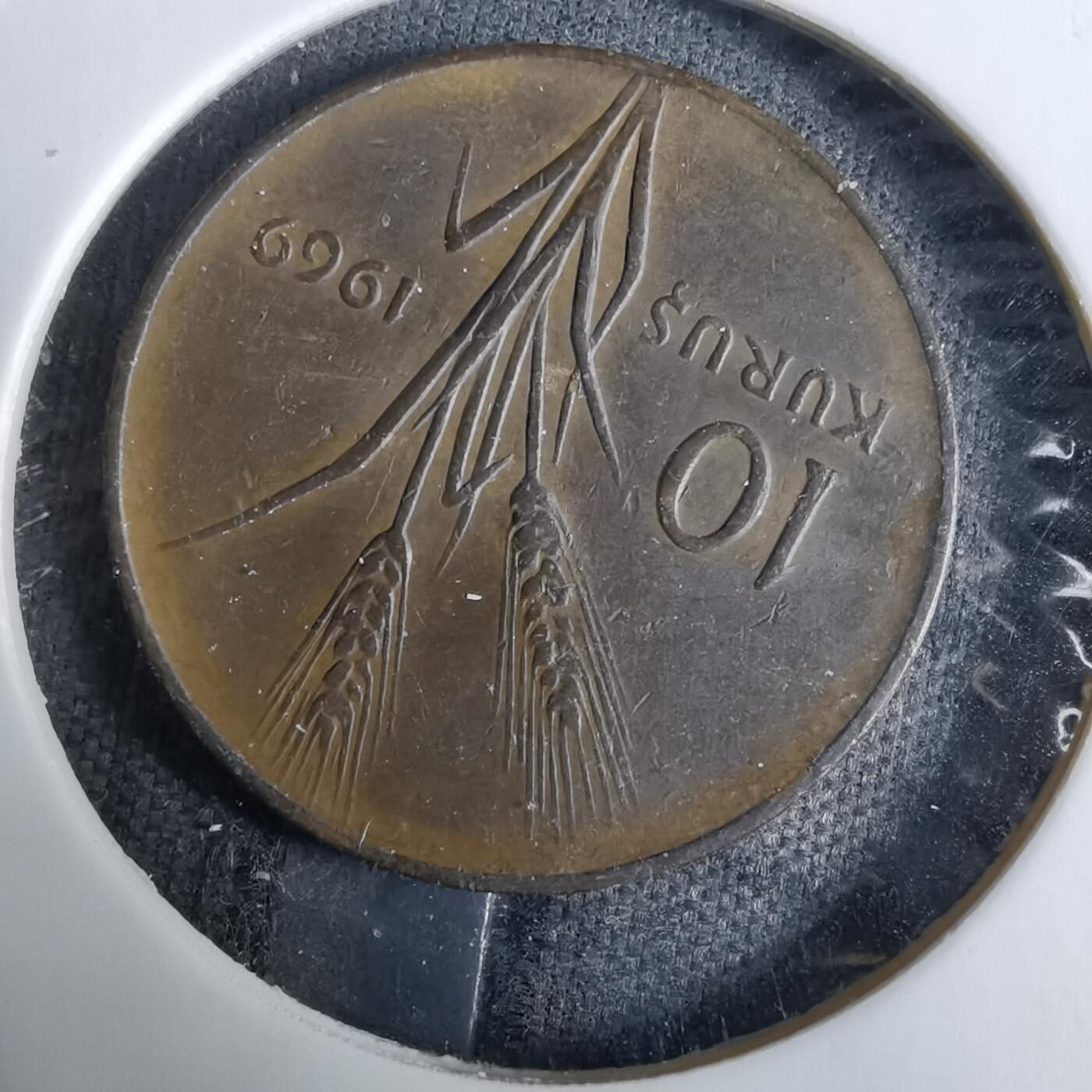 沼泽如烟--第918场