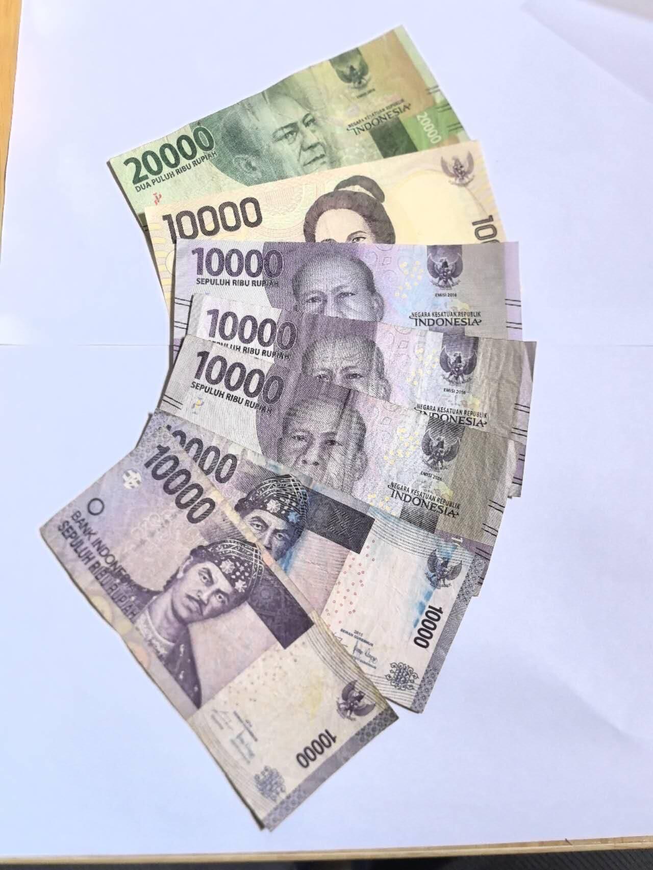 各国外币第100期 无佣金