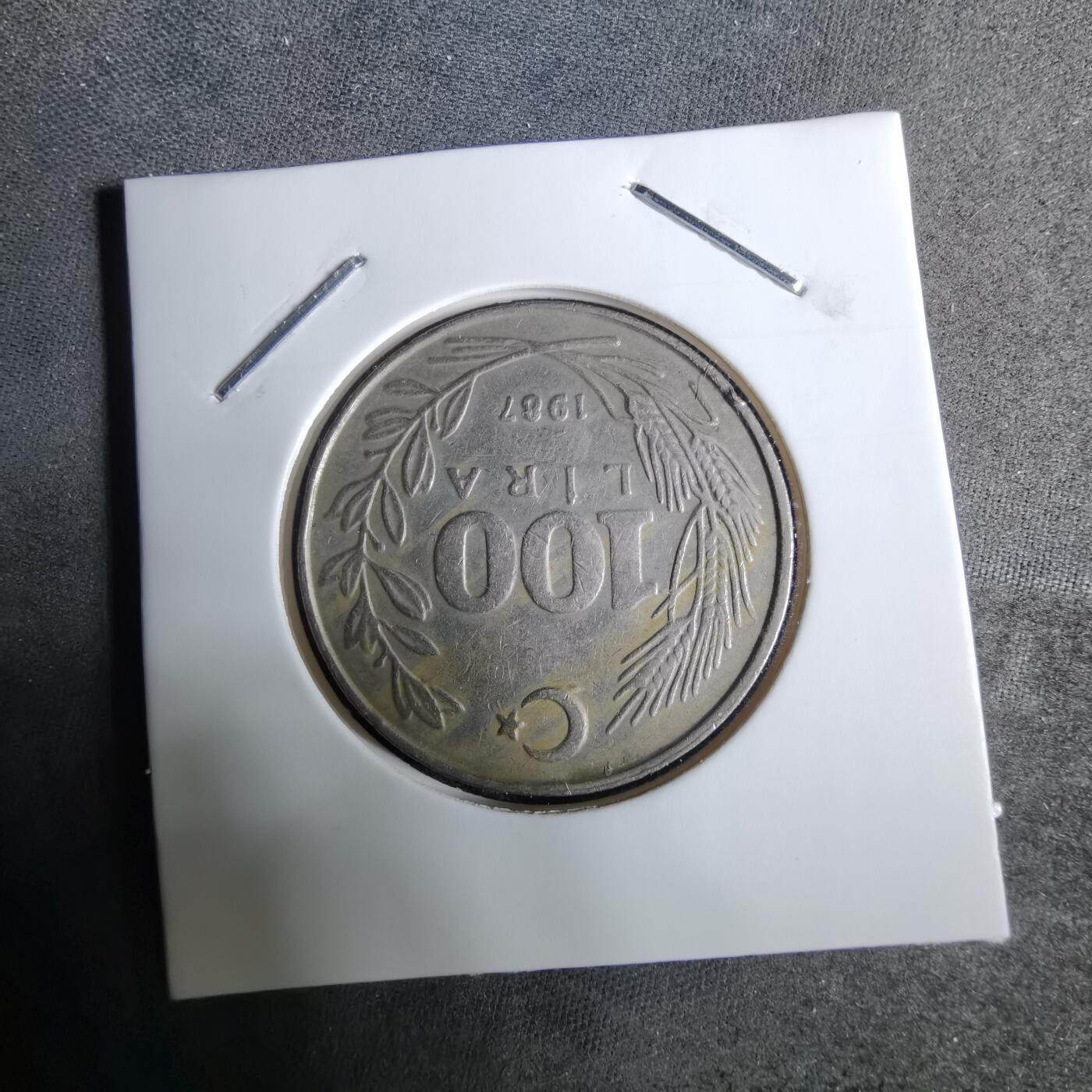 沼泽如烟--第918场