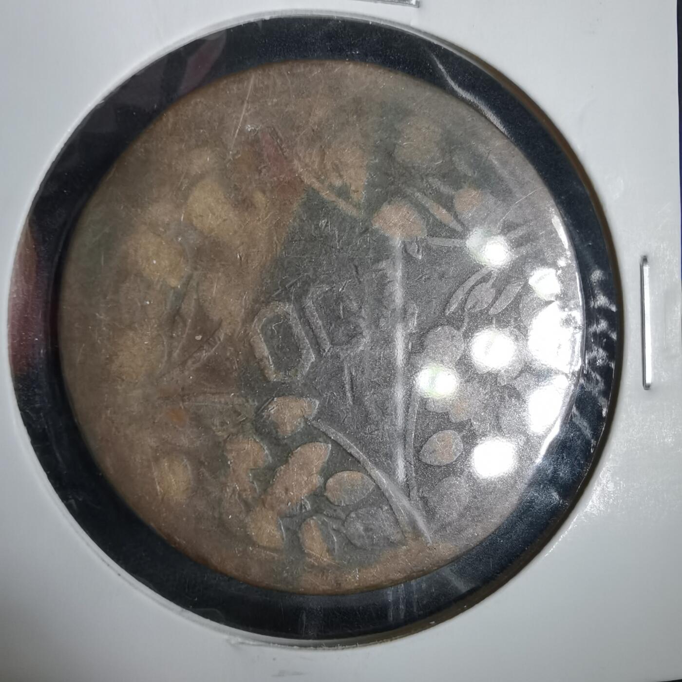 沼泽如烟--第919场