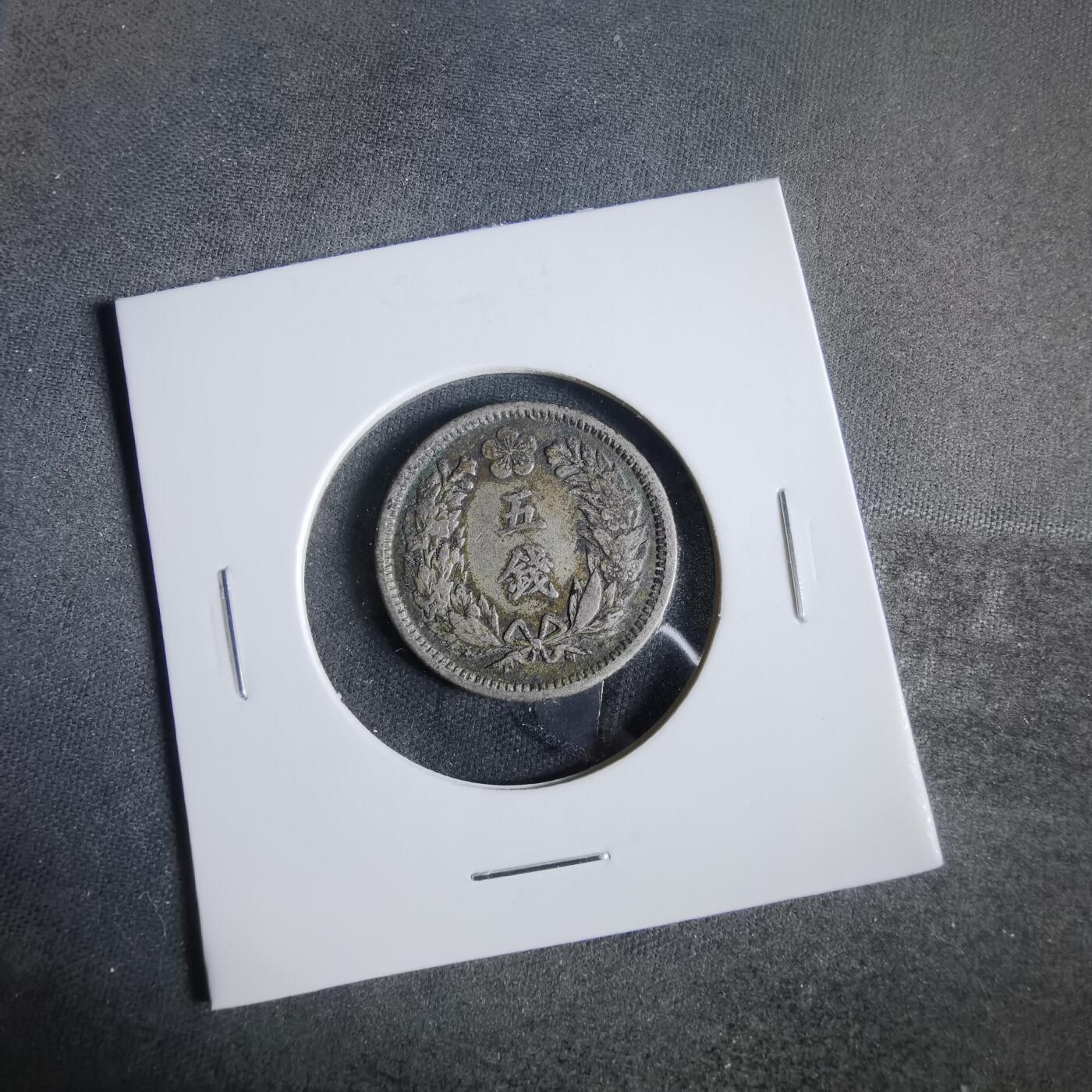 沼泽如烟--第919场