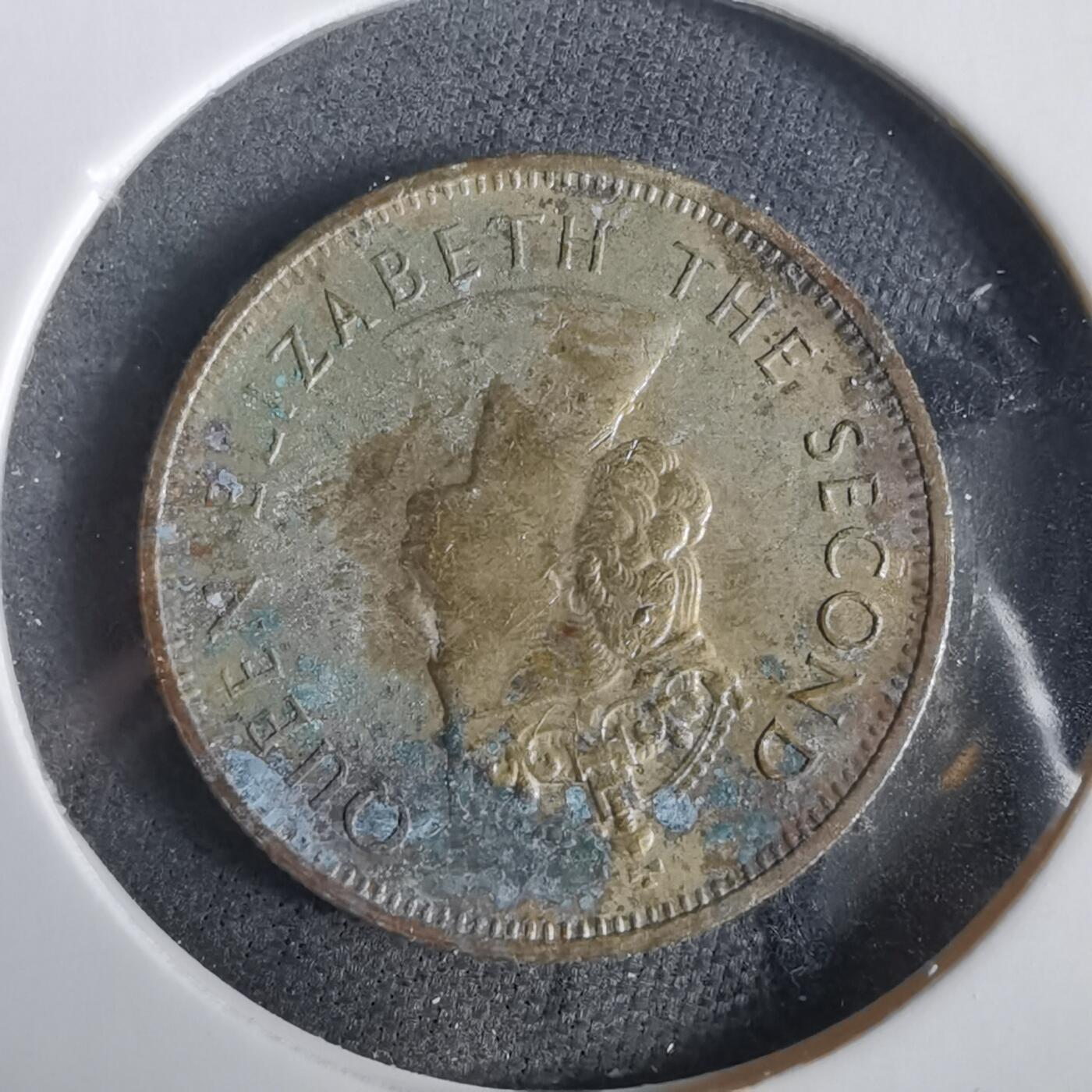 沼泽如烟--第919场