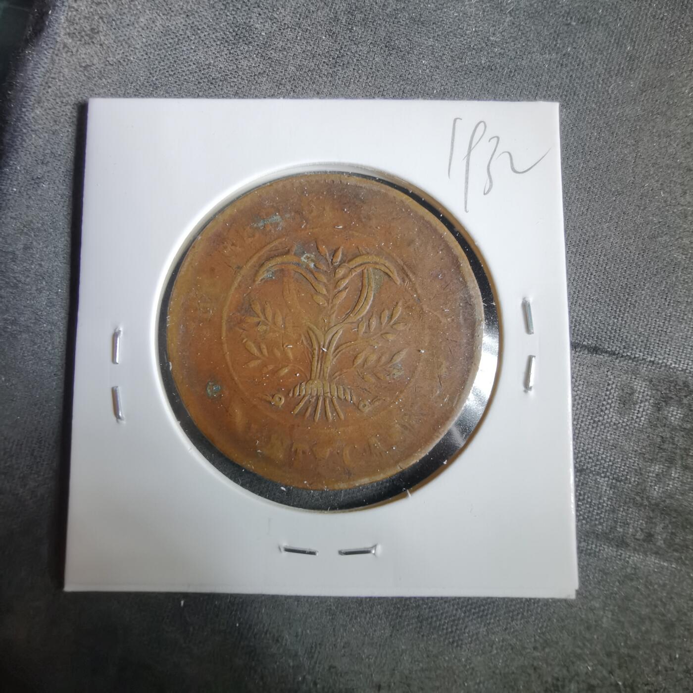 沼泽如烟--第919场