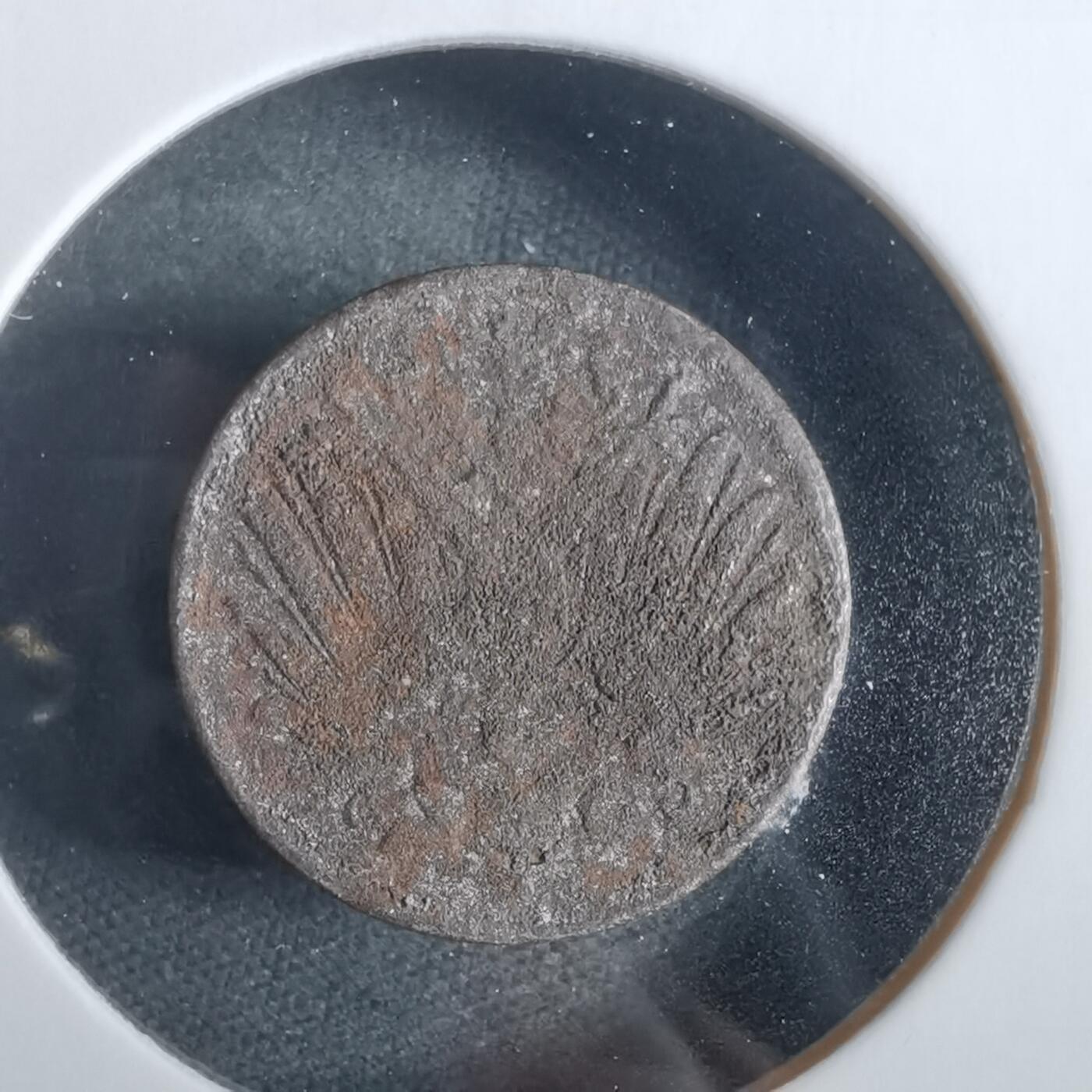 沼泽如烟--第919场