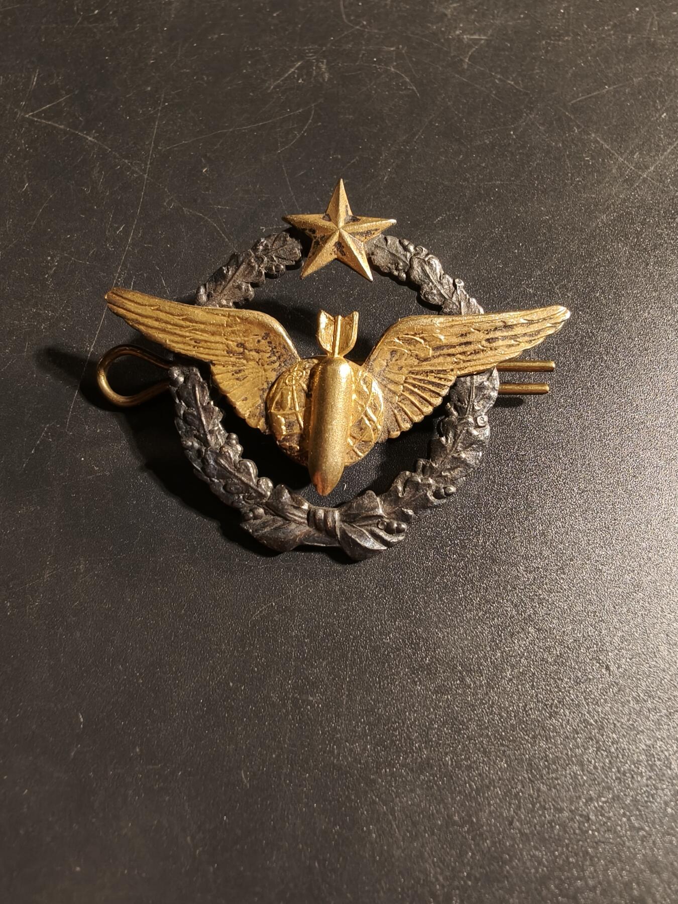 老王徽章第167期 法国空军投弹手证章