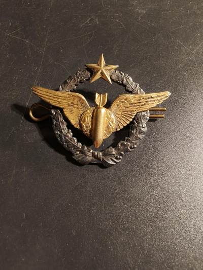 老王徽章第167期 - 法国空军投弹手证章