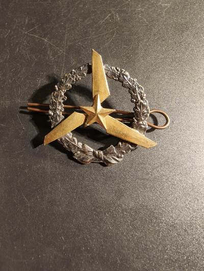 老王徽章第167期 - 法国陆军航空兵直升机飞行员证章