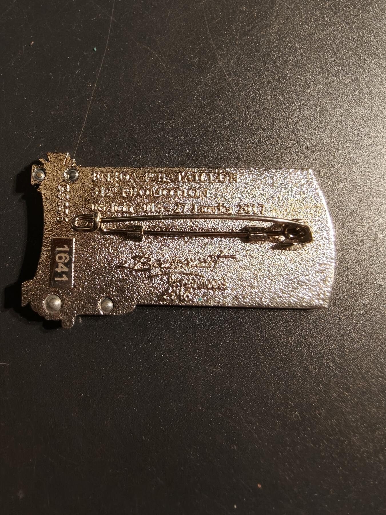 老王徽章第167期 法国现役士官学校312届第4营学员晋升证章