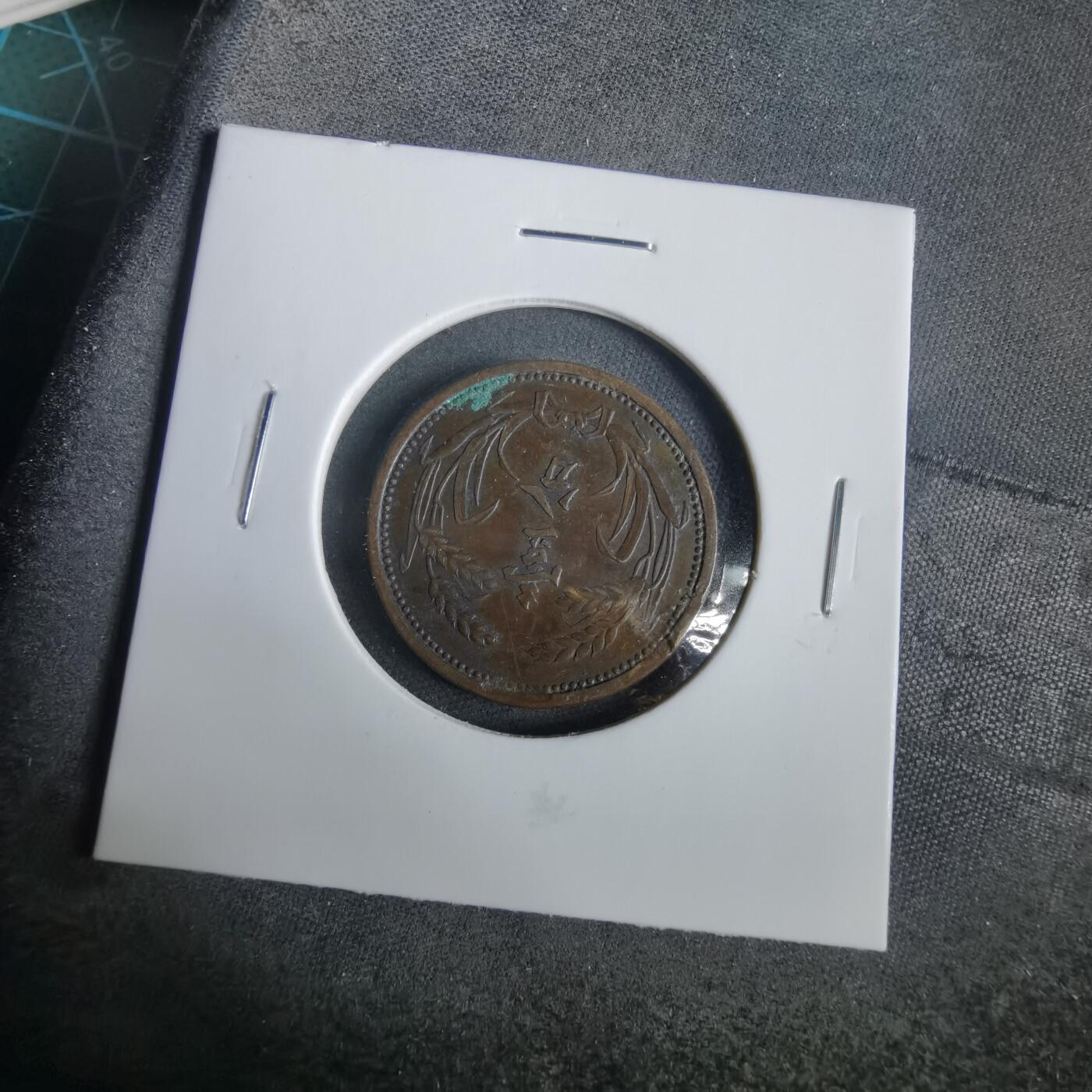 沼泽如烟--第919场