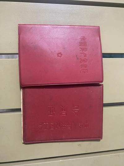 江南站红色书籍专场 - 红宝书