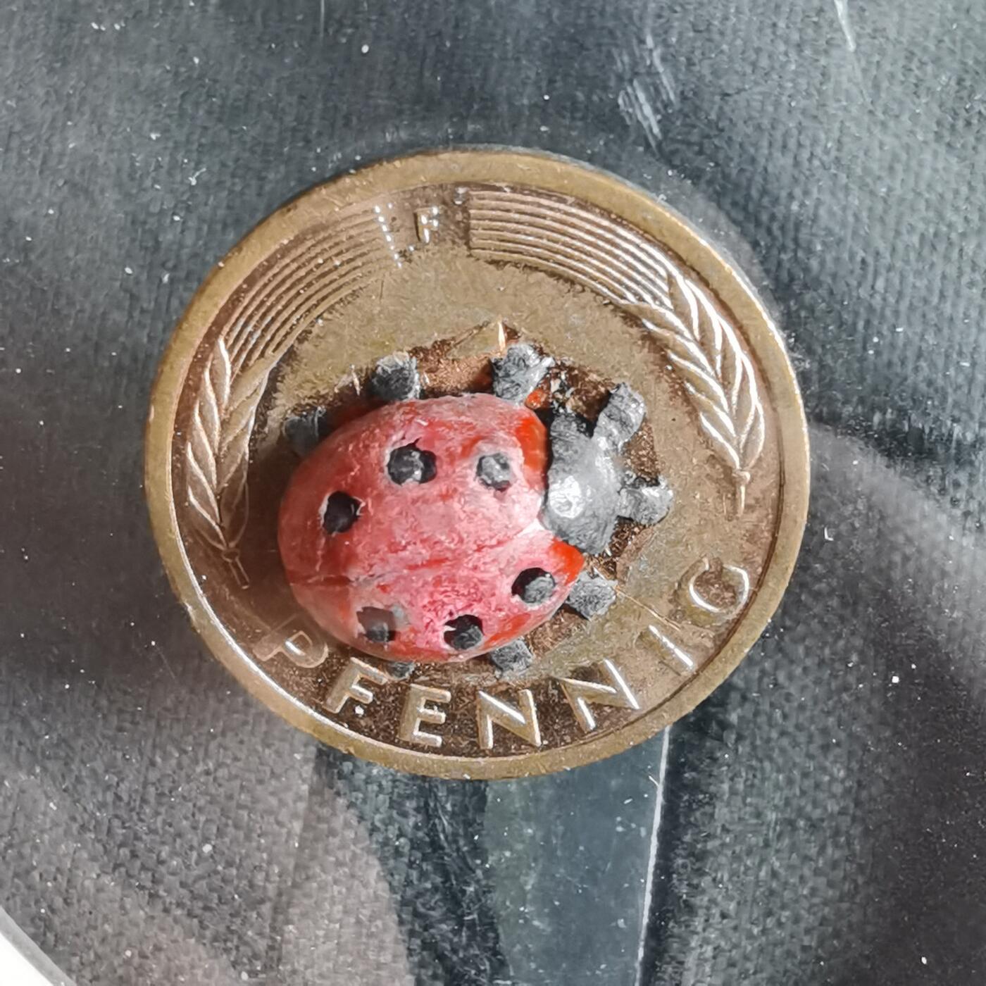 沼泽如烟--第919场 德国芬尼带瓢虫