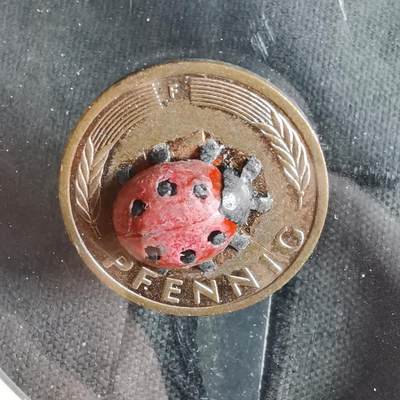 沼泽如烟--第919场 - 德国芬尼带瓢虫