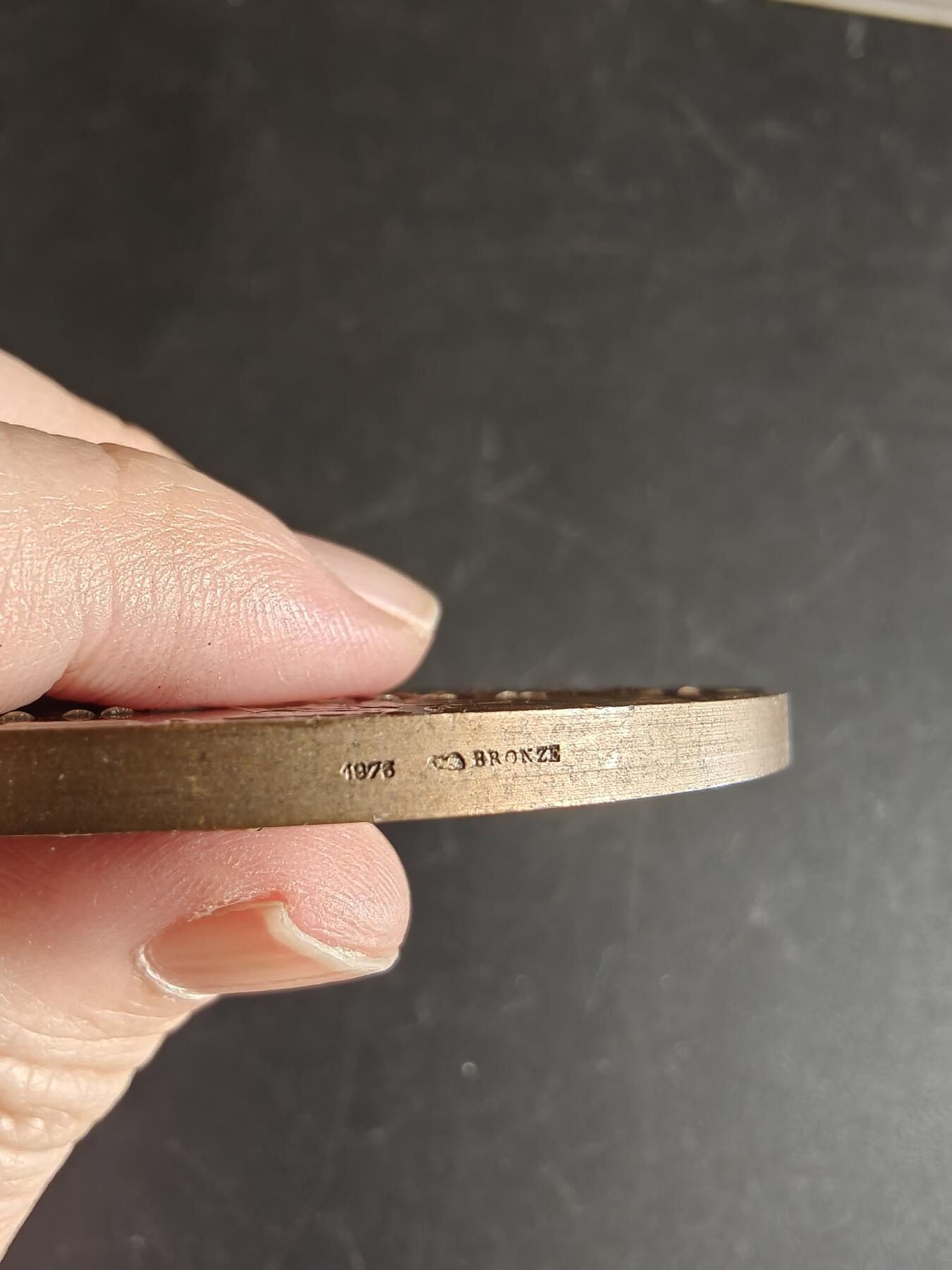 老王徽章第167期 法国Ris-Orangis市家庭大铜章     直径72mm.    重量161.8g