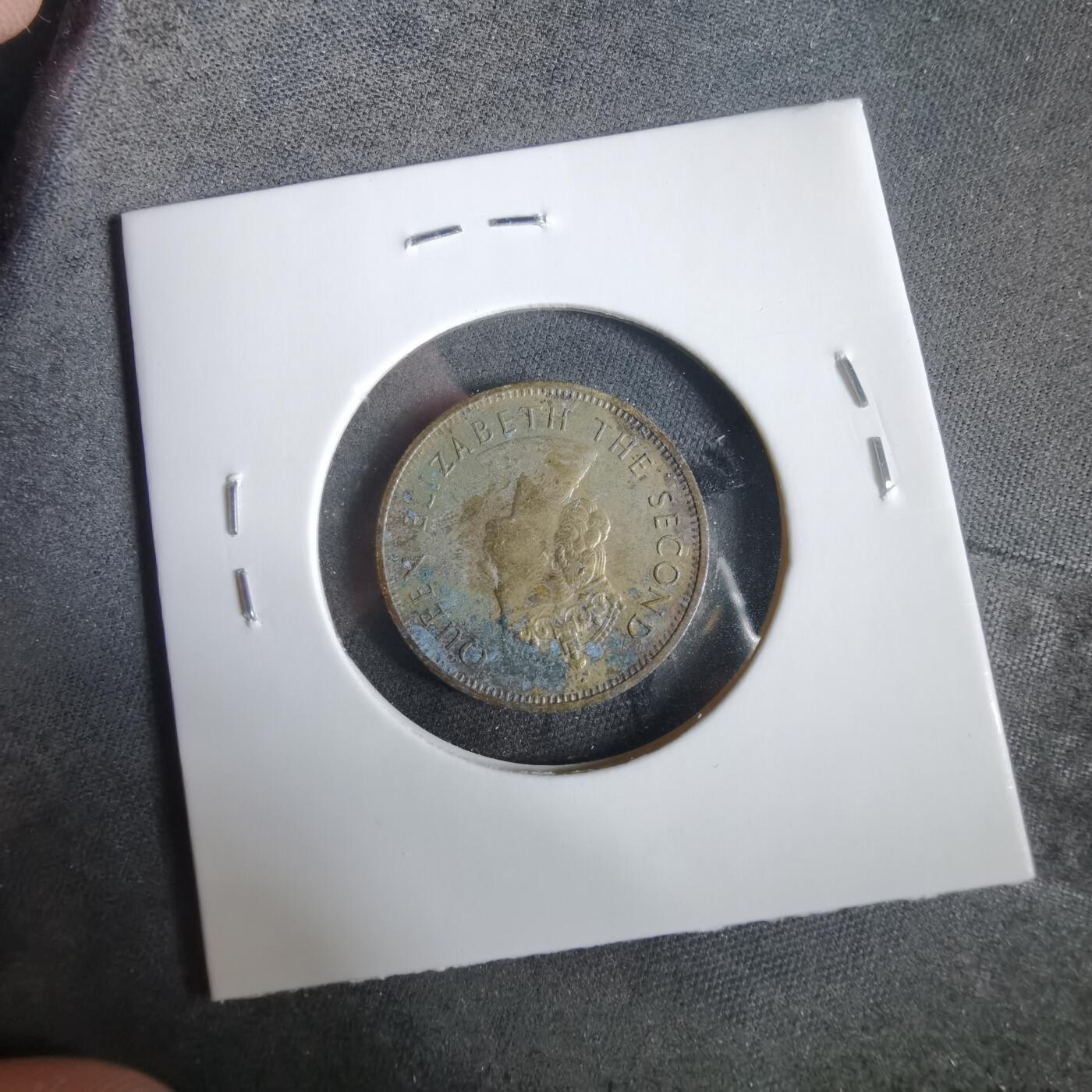 沼泽如烟--第919场