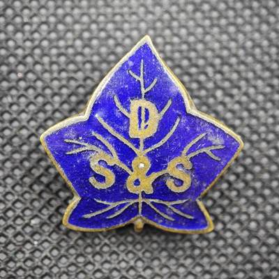 【淘币小摊】限时拍第八百一十六拍  纪念章场  满百包邮可预留两周  周一统一发货  -  英国残疾水手与士兵协会（D.S.&S.）会员徽章直径36mm