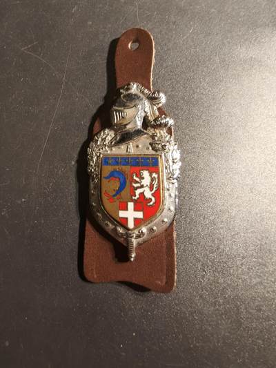 老王徽章第167期 - 法国鲁昂宪兵团证章