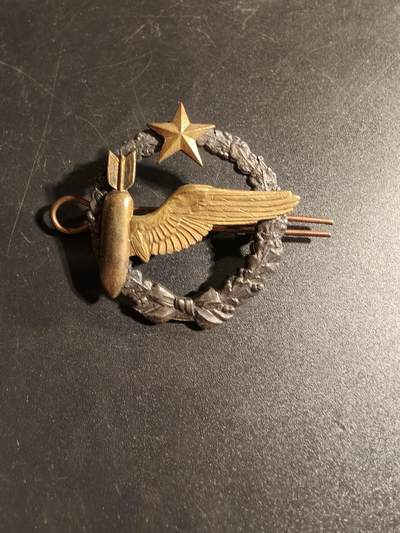 老王徽章第167期 - 法国空军投弹手学员证章