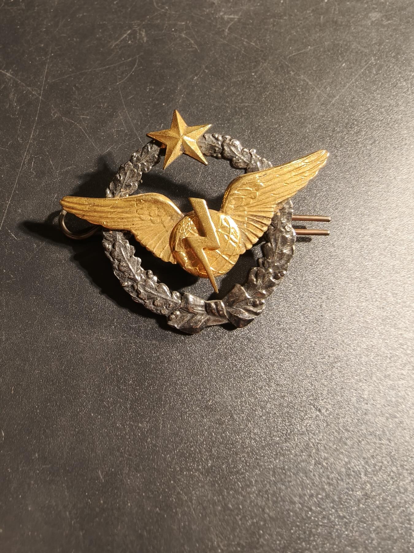 老王徽章第167期 法国空军无线电操作员证章