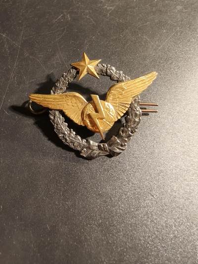 老王徽章第167期 - 法国空军无线电操作员证章