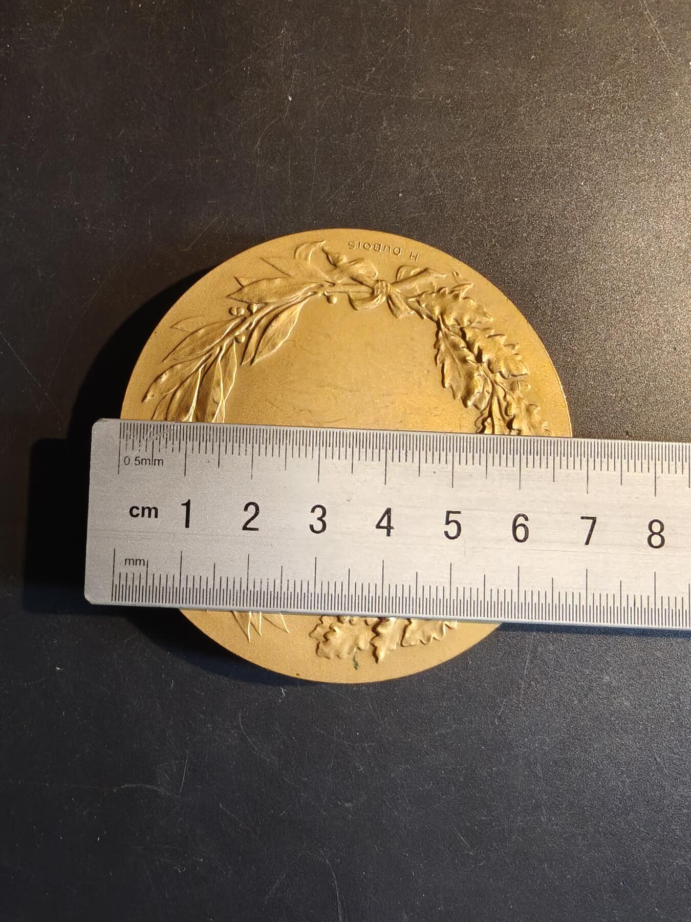 老王徽章第167期 法国玛丽安娜镀金大铜章     直径68mm    重量149.2g