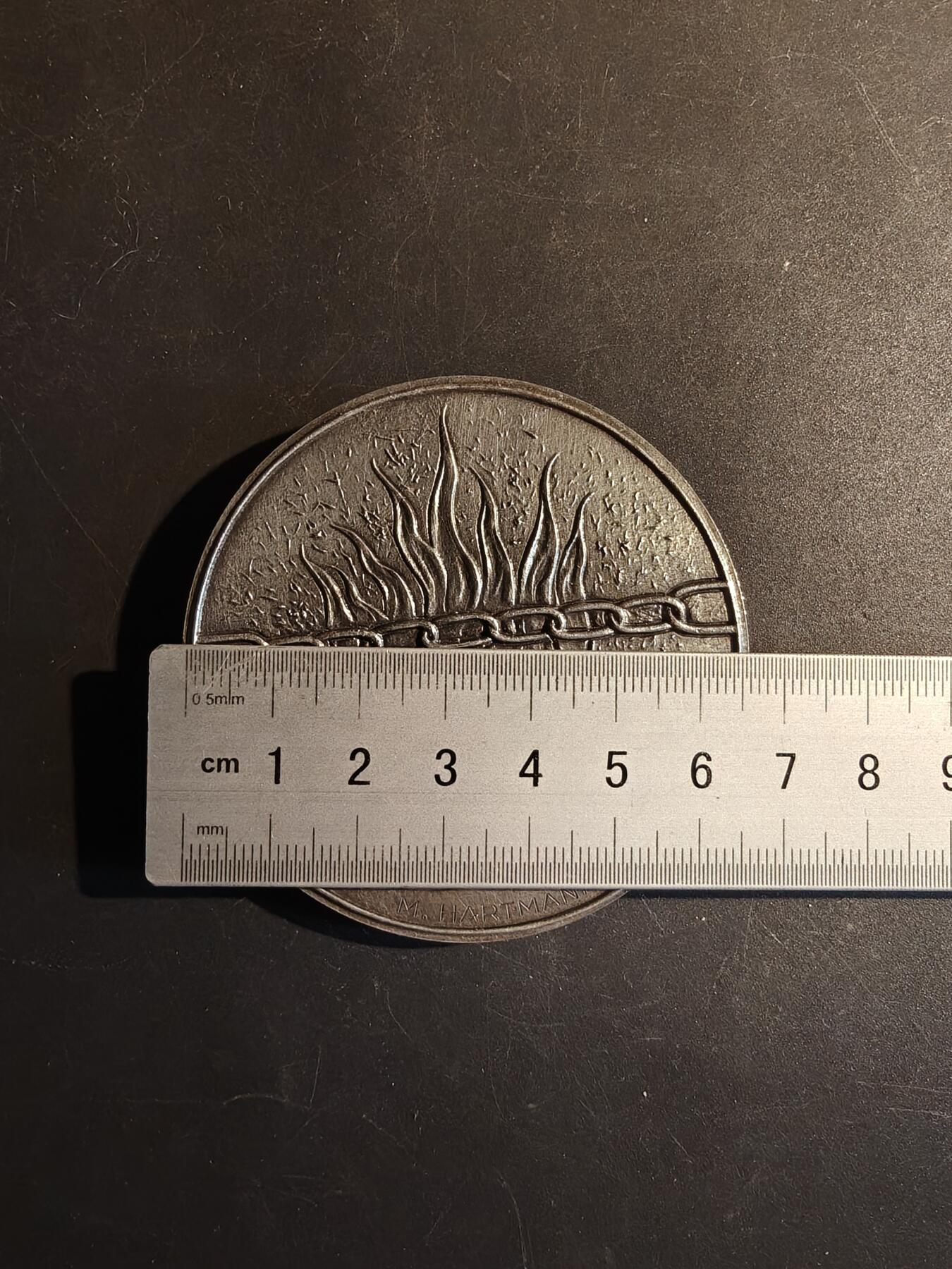 老王徽章第167期 法国圣安妮精神病中心镀银大铜章     直径66mm.    重量147.2g