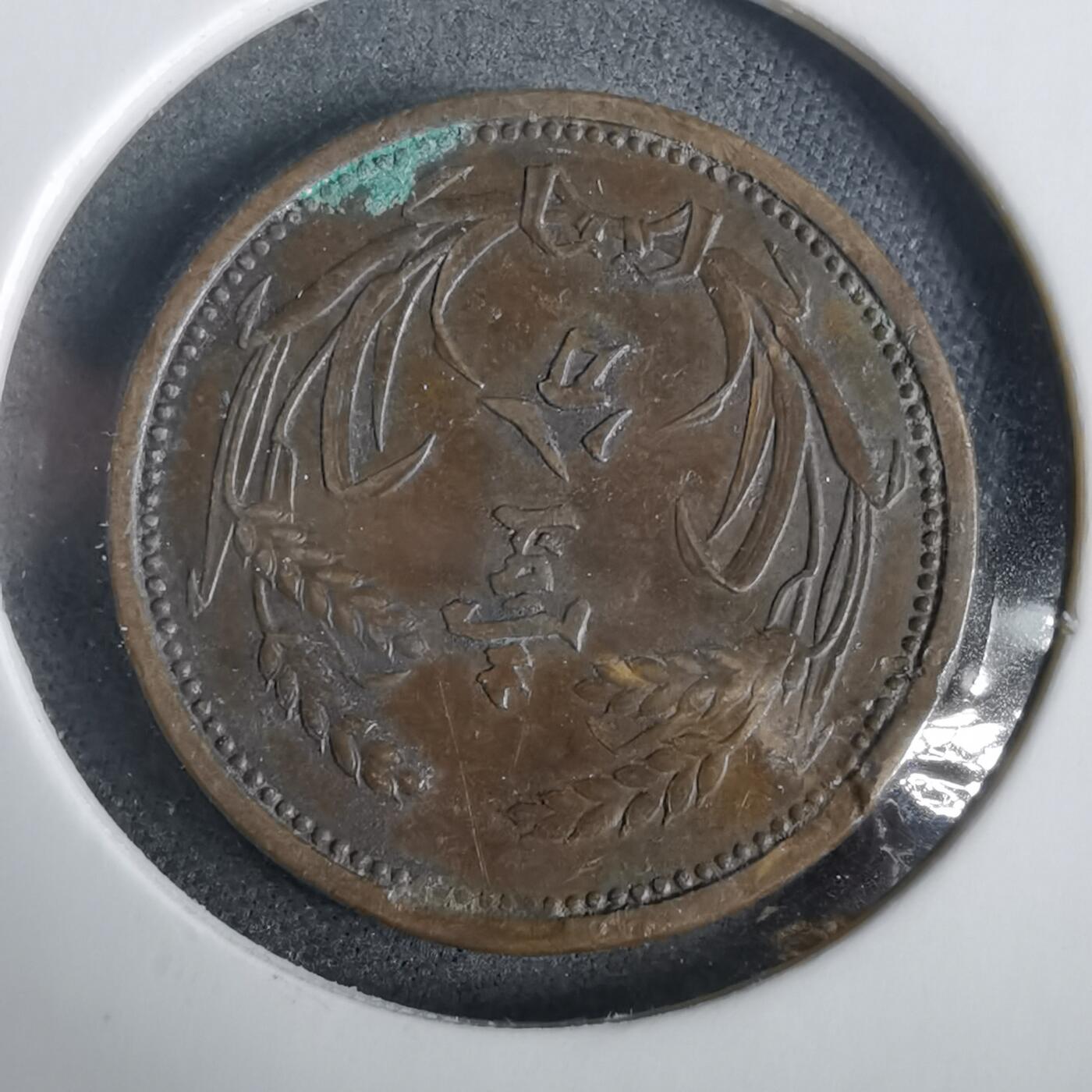 沼泽如烟--第919场