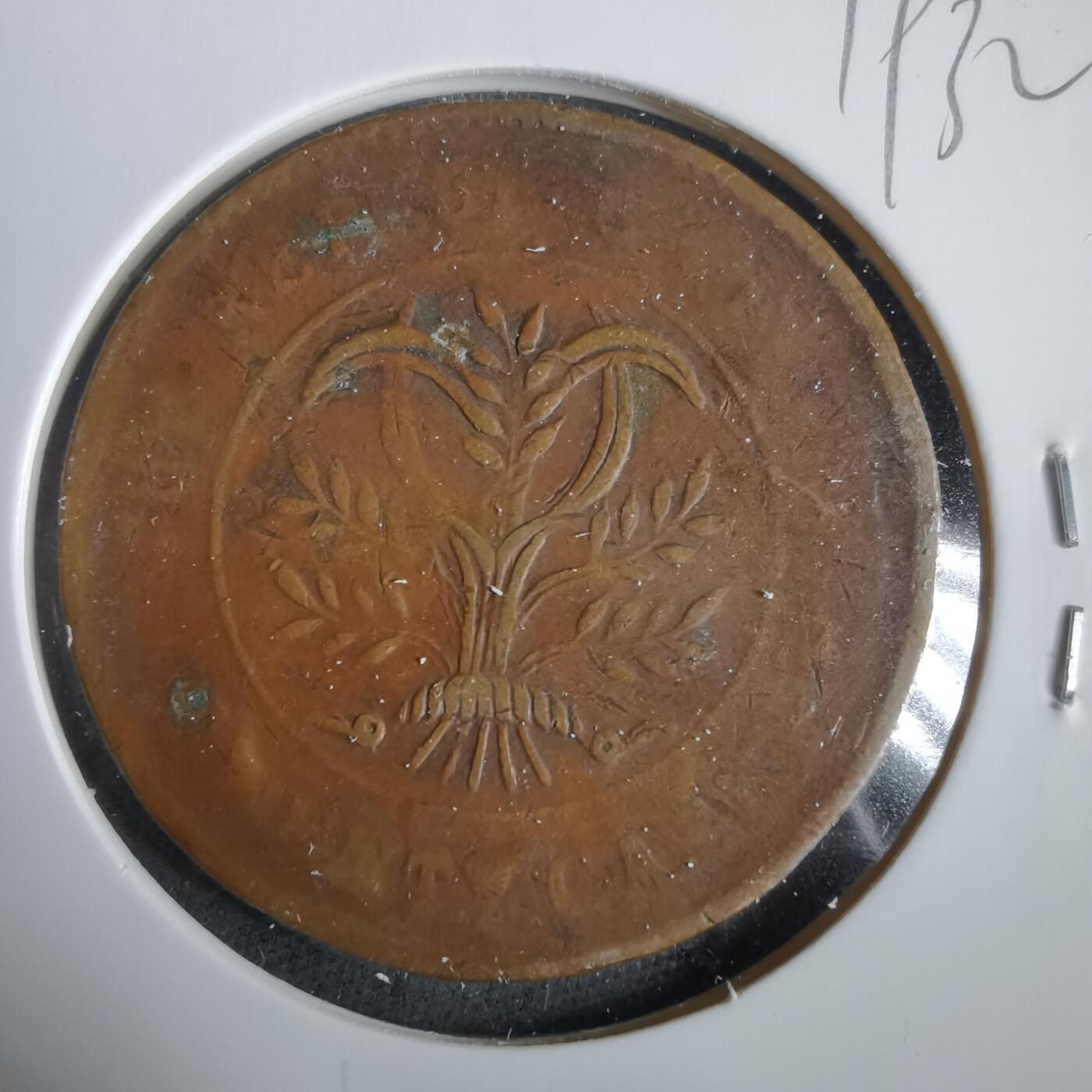 沼泽如烟--第919场