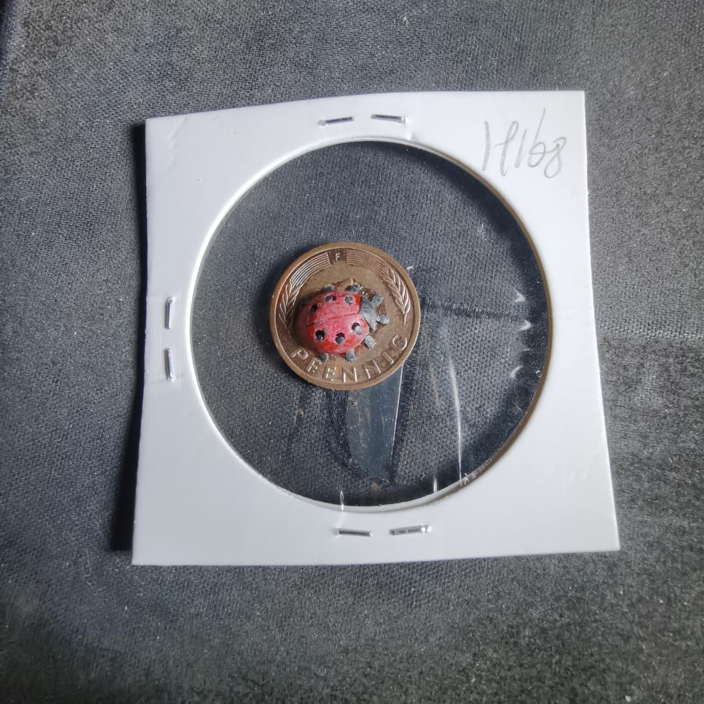 沼泽如烟--第919场 德国芬尼带瓢虫