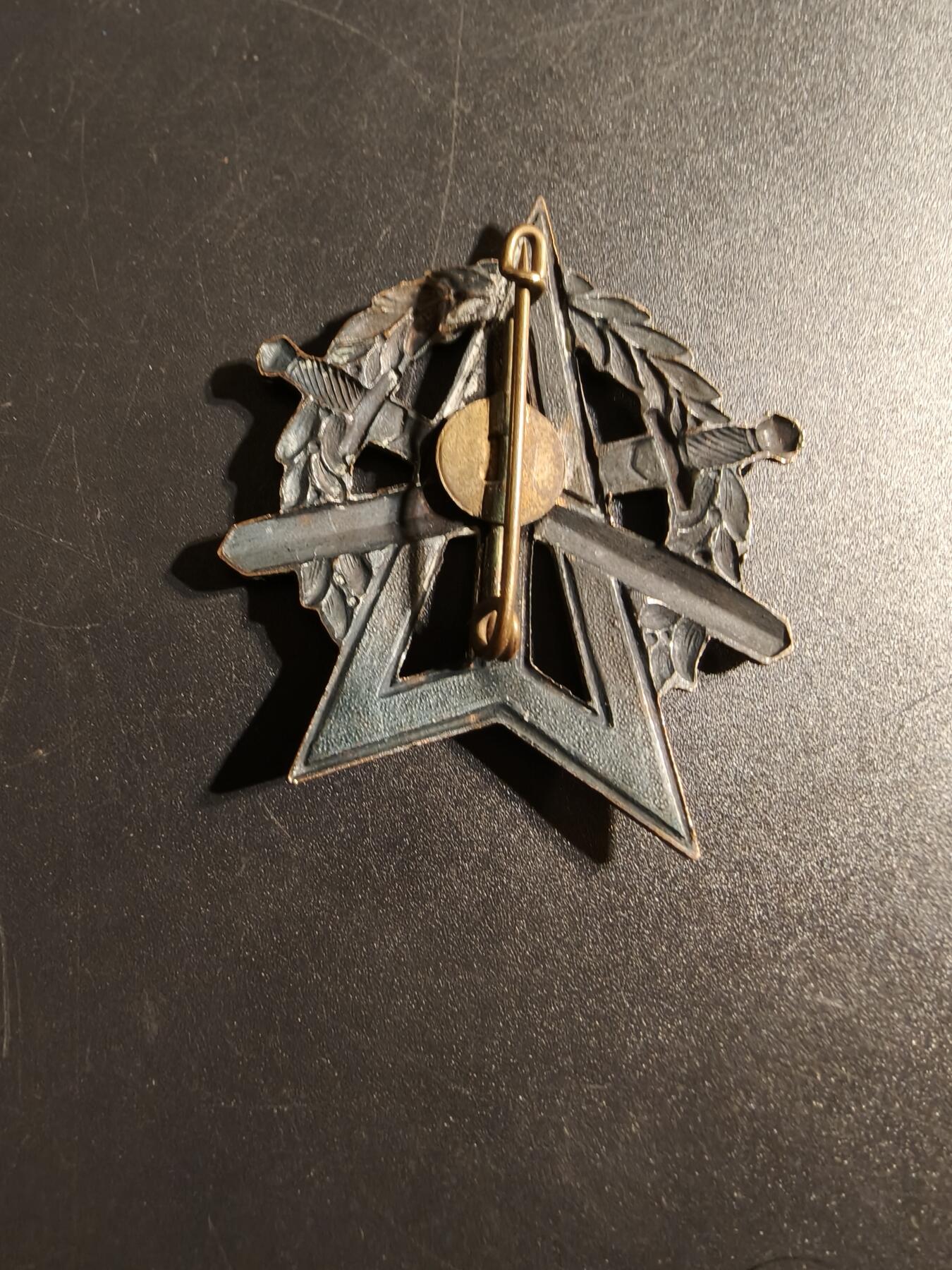 老王徽章第167期 荷兰陆军体能证章