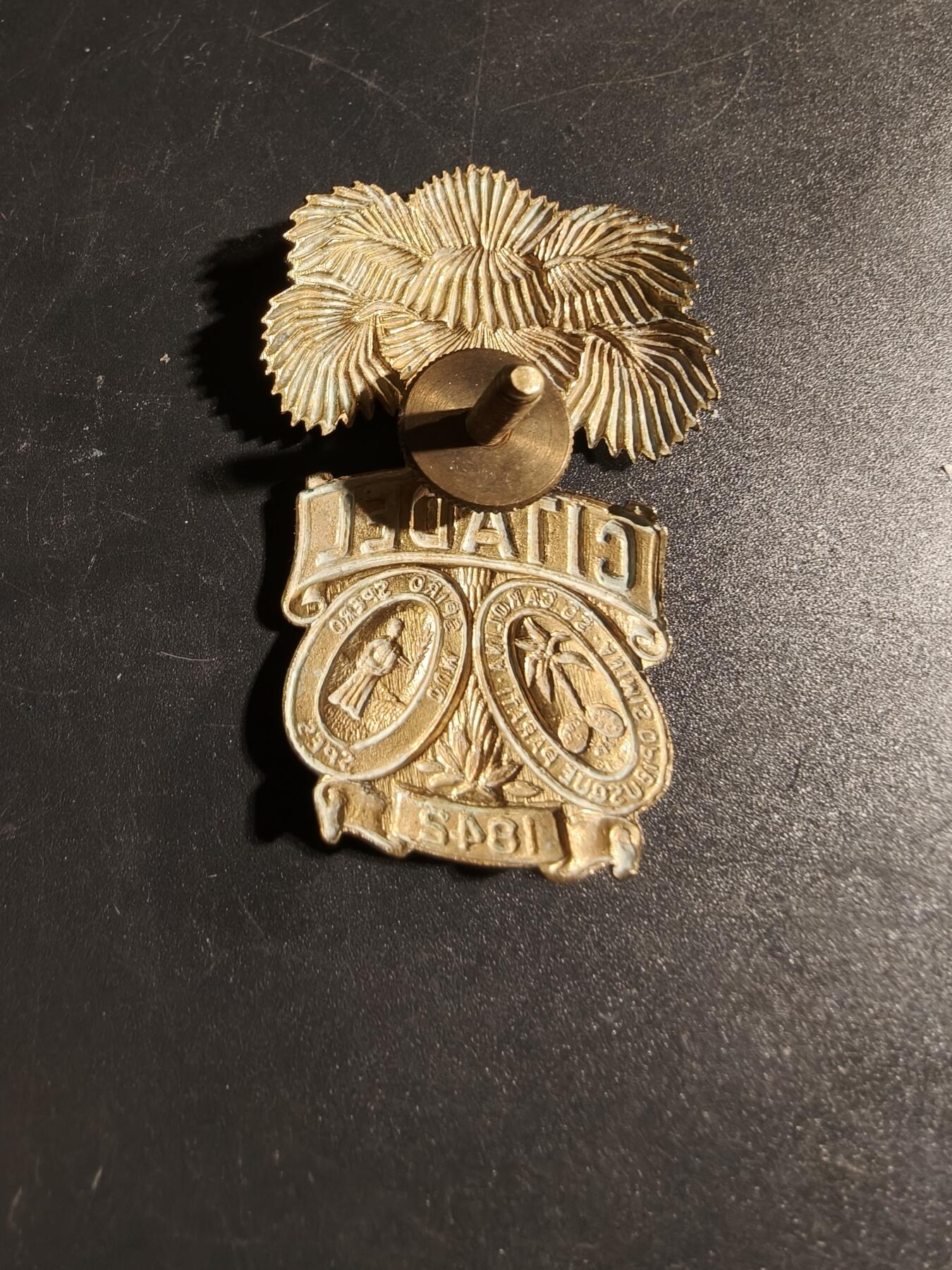 老王徽章第167期 美国南卡罗来纳军校大檐帽帽徽