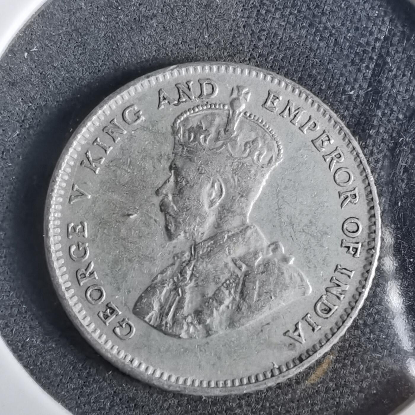 沼泽如烟--第919场