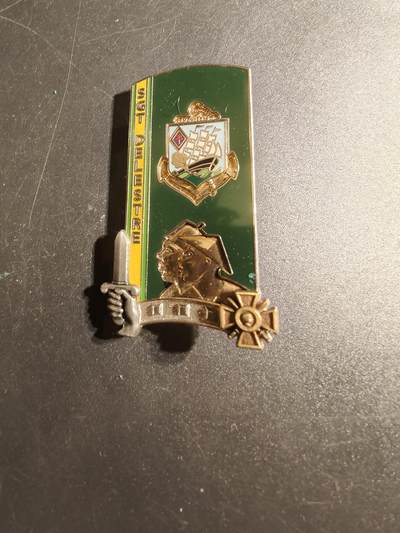 老王徽章第167期 - 法国现役士官学校312届第4营学员晋升证章