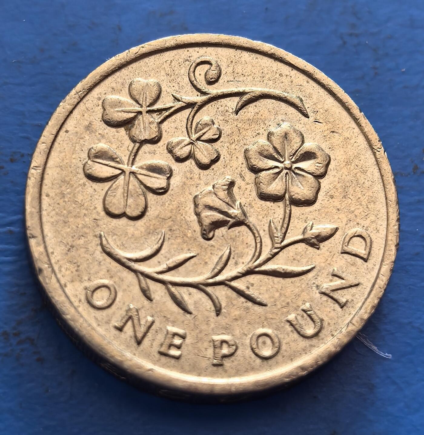 外国优质老铜币银币，周六九点倒数截拍，满百包邮，可寄存半年，喜欢朋友微信扫描二维码可直接参拍 英国少见花版1镑