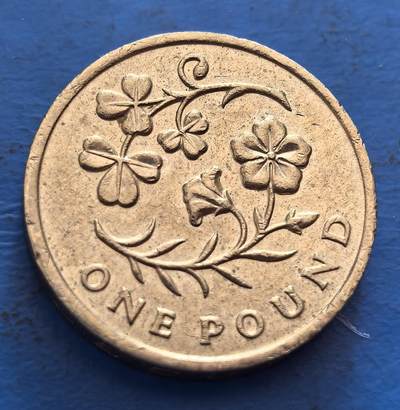 外国优质老铜币银币，周六九点倒数截拍，满百包邮，可寄存半年，喜欢朋友微信扫描二维码可直接参拍 - 英国少见花版1镑