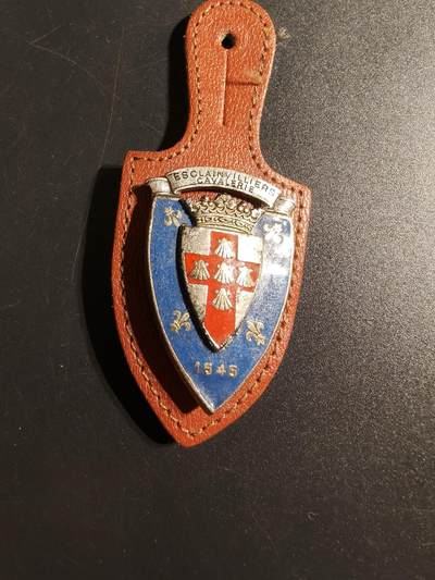 老王徽章第167期 - 法国第3胸甲骑兵团证章