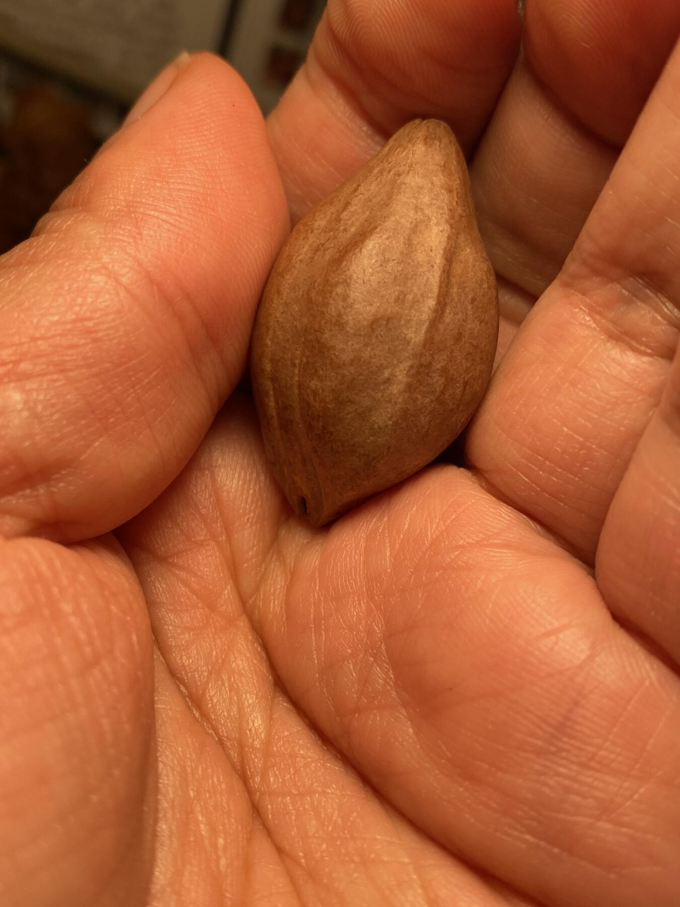 中国非物质文化遗产，苏工核雕 福利苏工核雕，纯手工雕刻，老苏工门神，个性十足，等待有缘人，市场无同款，尺寸2。2x3.7喜欢的来