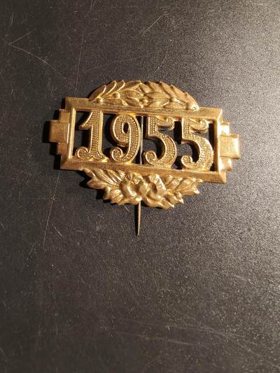 老王徽章第167期 - 法国1955字样针插