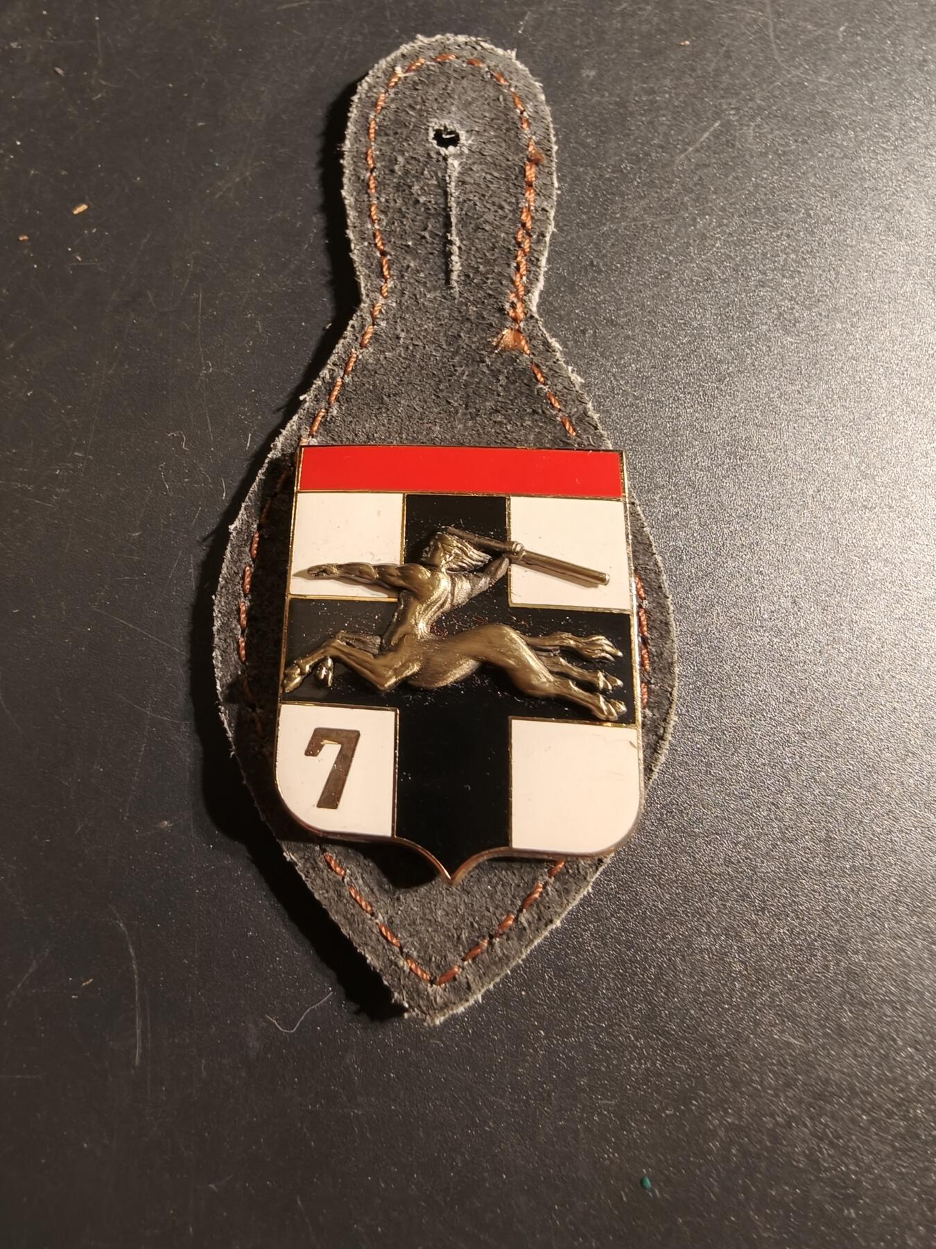 老王徽章第167期 法国第7防空炮兵团证章