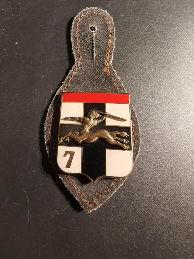 老王徽章第167期 - 法国第7防空炮兵团证章