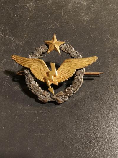 老王徽章第167期 - 法国空军无线电操作员证章