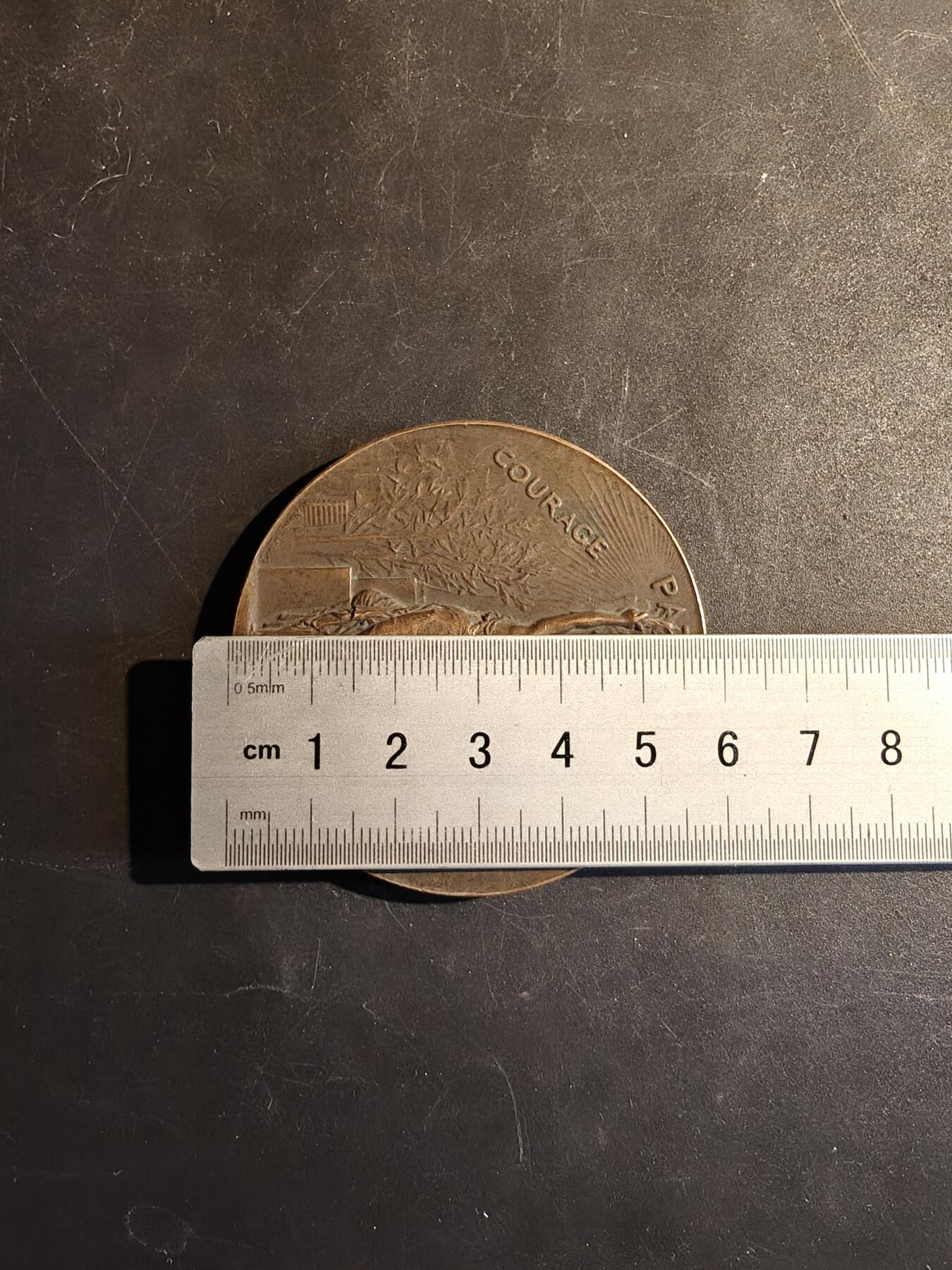 老王徽章第167期 法国体操联盟大铜章    阿尔菲•杜布瓦作品    直径58mm.    重量97.6g